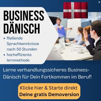 Business Dänisch Kurs Banner