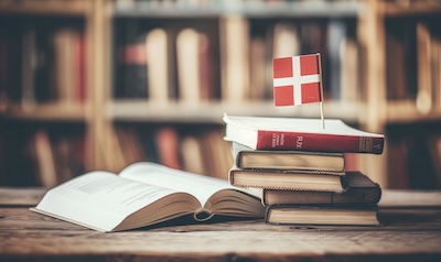 daenisch grammatik buch lehrbücher