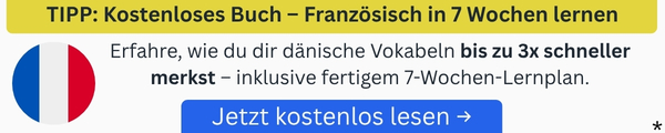 Footer Banner für kostenloses Buch Französisch lernen Download