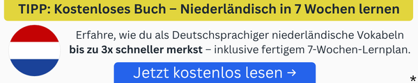 Footer Banner für kostenloses Buch Niederländisch lernen Download