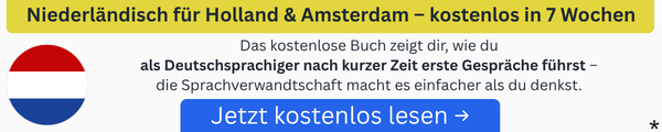 Footer Banner für kostenloses Buch Niederländisch lernen Download