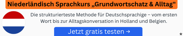 Footer Banner für kostenloses Buch Niederländisch lernen Download